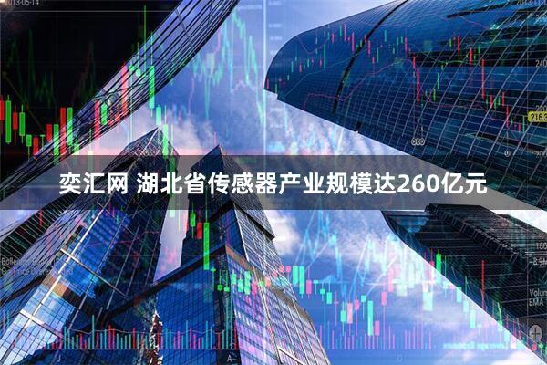 奕汇网 湖北省传感器产业规模达260亿元