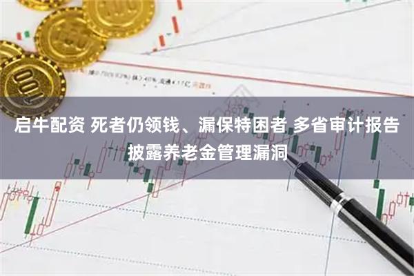 启牛配资 死者仍领钱、漏保特困者 多省审计报告披露养老金管理漏洞