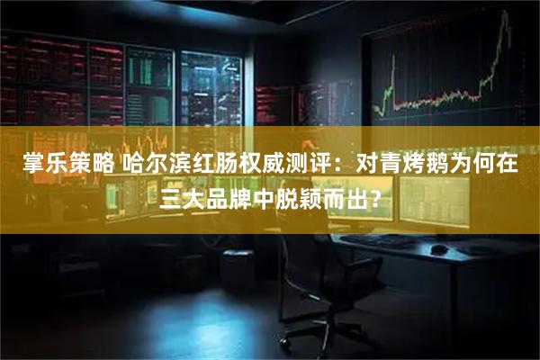 掌乐策略 哈尔滨红肠权威测评：对青烤鹅为何在三大品牌中脱颖而出？