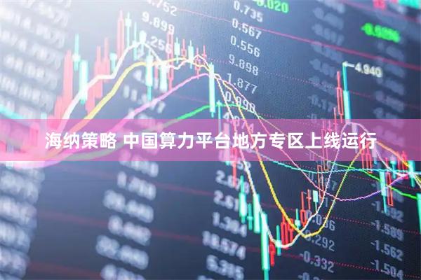 海纳策略 中国算力平台地方专区上线运行