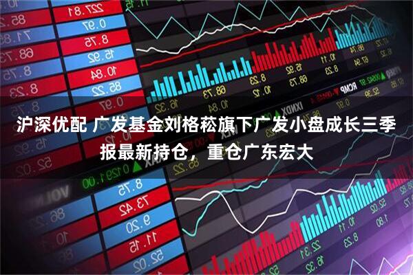 沪深优配 广发基金刘格菘旗下广发小盘成长三季报最新持仓，重仓广东宏大